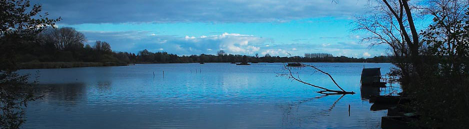 photo professionnelle d'un etang